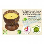 Diyaan Coconut Shell Palm Oil Wax Handmade Ylang Ylang Candle with Holder