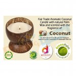 Diyaan Coconut Shell Palm Oil Wax Handmade Coconut Candle with Holder