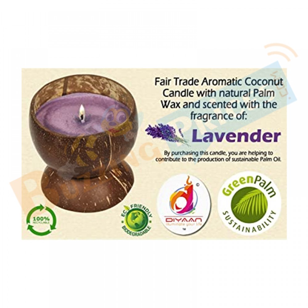 Diyaan Natural Coconut Shell Palm Oil Wax Handmade Lavender Aromatic Candle & Holder