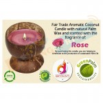 Diyaan Coconut Shell Palm Oil Wax Handmade Rose Candle with Holder